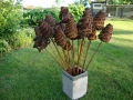 gevlochten bloemen