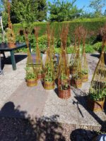 Klimplantenmand